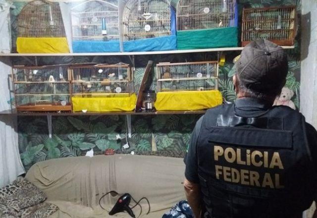 Mandados foram cumpridos na cidade de Itaquaquecetuba e na capital paulista | Divulgação/PF