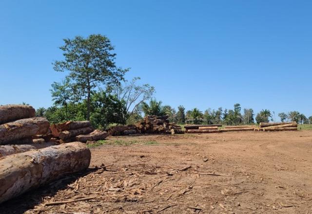 PF em Rondônia