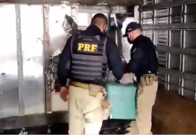 PRF apreende 500 quilos de cocaína escondida em caminhão no Mato Grosso