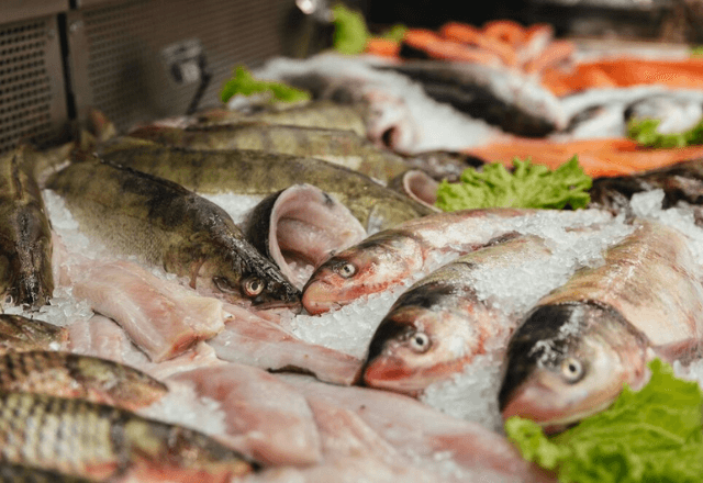 Preço dos pescados deve disparar antes da Semana Santa e preocupa autoridades em Belém do Pará Preço dos pescados deve disparar antes da Semana Santa e preocupa autoridades em Belém do Pará