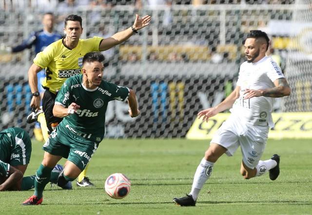 Foto: Reprodução/Palmeiras