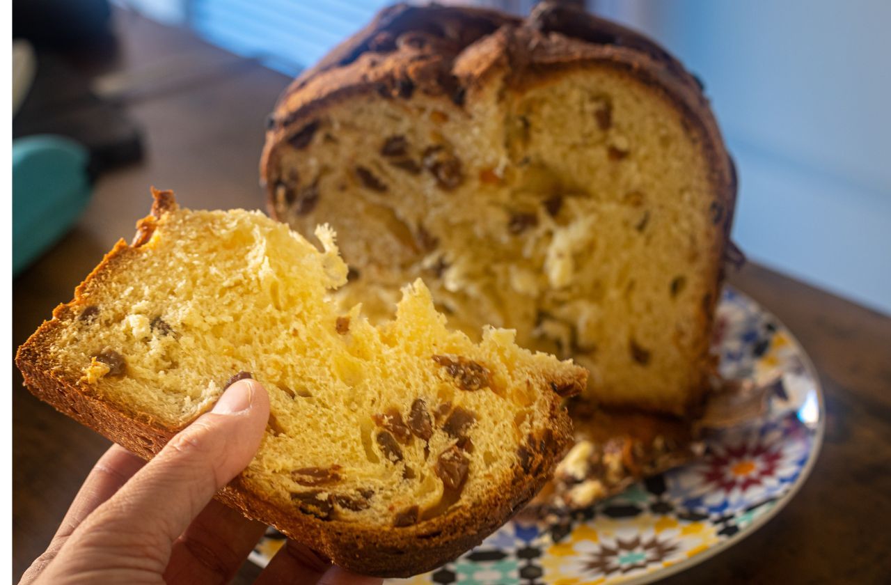 Anvisa proíbe venda de 4 lotes de panetone por presença de fungos