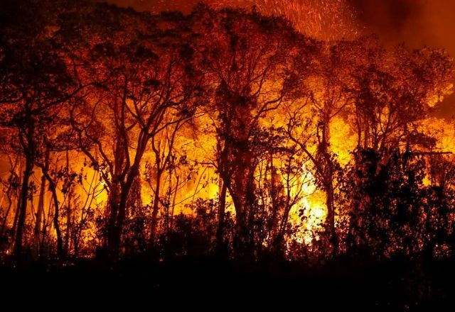 Incêndio no Pantanal devasta floresta | Joédson Alves/Agência Brasil