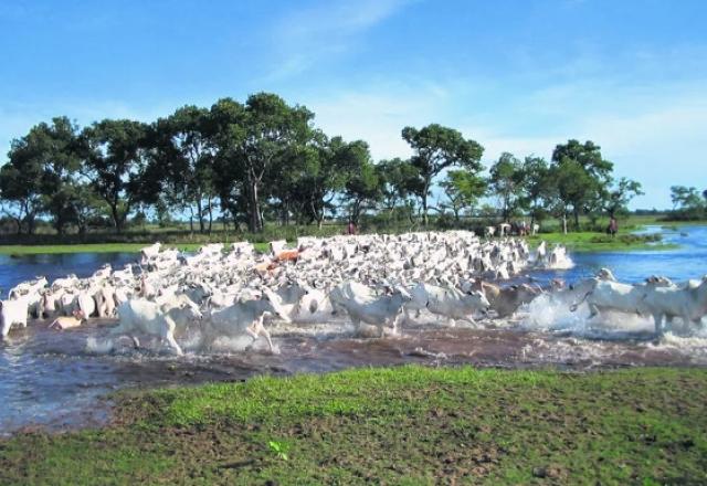 Projetos de Lei que mudam uso do solo em Mato Grosso geram polêmicas Projetos de Lei que mudam uso do solo em Mato Grosso geram polêmicas