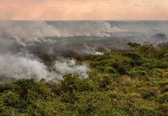 Média de área coberta por água no período de inundações foi menor do que a do período de seca do ano passado | Marcelo Camargo/Agência Brasil