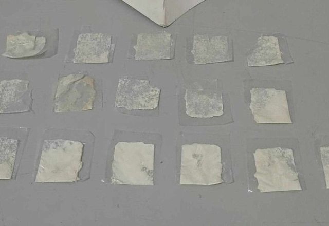 Papelotes de cocaína apreendidos pela polícia | Foto: PMMG