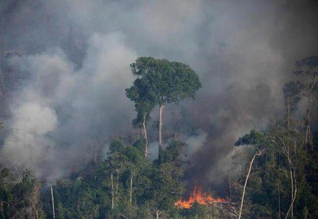 Pará, Mato Grosso e Rondônia lideraram a destruição pelo fogo em novembro | Greenpeace