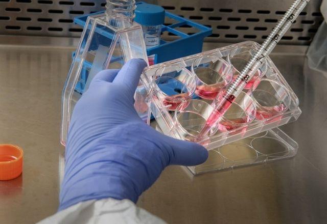 Para ter direito à cota, será preciso registro da Licença de Importação (LI) ou do Documento Único de Importação (DUIMP) | Divulgação