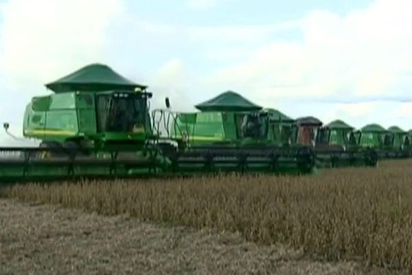 Parceria vai reduzir burocracia no agronegócio