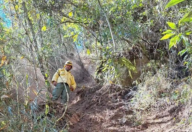 Parque Nacional do Itatiaia retoma visitação pública após incêndio