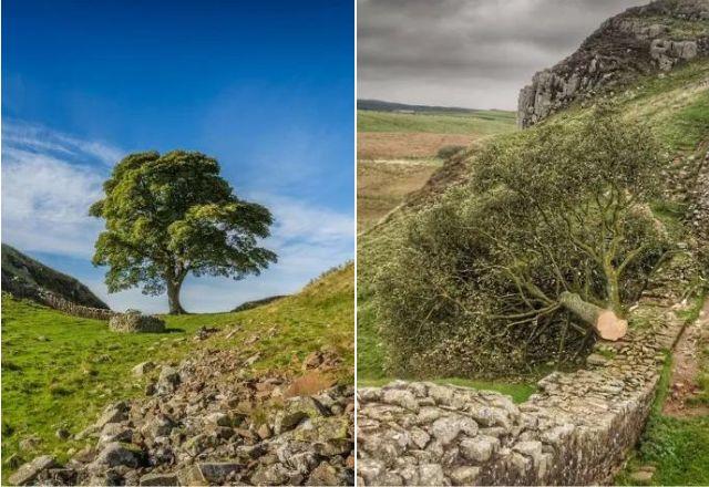Reprodução/Parque nacional do condado de Northumbria