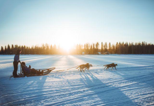Passeio com os huskies só acontece entre novembro e março no inverno rigoroso