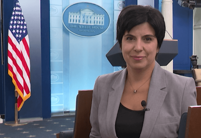Patrícia Vasconcellos relata a cobertura das eleições presidenciais nos EUA em 2024 | Reprodução