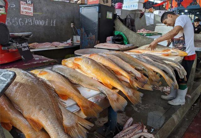 Peixes em mercado Ver-o-peso, em Belém