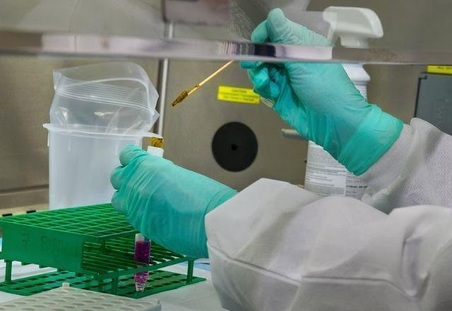 Pesquisador segura instrumentos em laboratório (Unsplash)