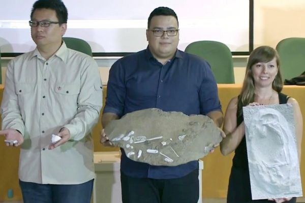 Pesquisadores encontram fósseis de répteis de 100 milhões de anos