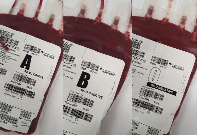 Tipo Er, descoberto pelos cientistas, deve entrar no sistema de tipos sanguíneos até o final do ano | Charlie Helen/Pexels bolsas de sangue