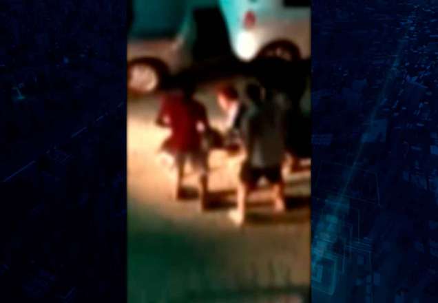 Pitbulls atacam cão de idosa até a morte em Salvador