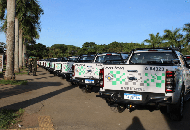 Esta foi a sétima prisão no estado desde a semana passada por incêndios criminosos | SSP / Reprodução