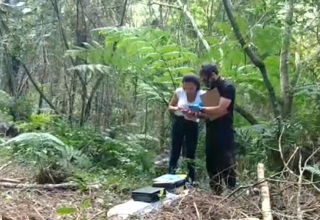 Polícia descobre quatro corpos em cemitério clandestino na Grande SP
