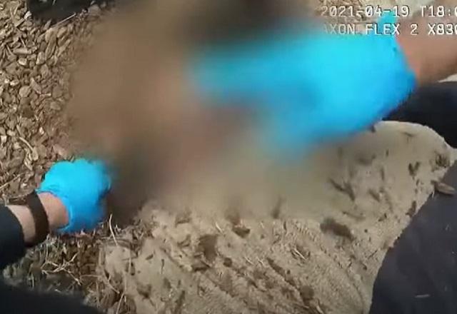 Policiais abordam homem latino na Califórnia (EUA), com luvas de plástico azuis enquanto a vítima está imobilizada no chão