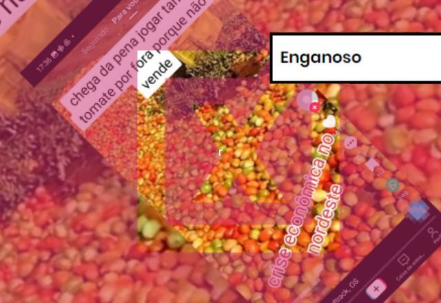  Post usa vídeo de 2022 para dizer, erroneamente, que tomates estão sendo descartados por suposta crise econômica | Projeto Comprova