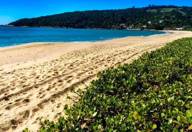Praia em Santa Catarina | Divulgação/Prefeitura de Balneário Camboriú