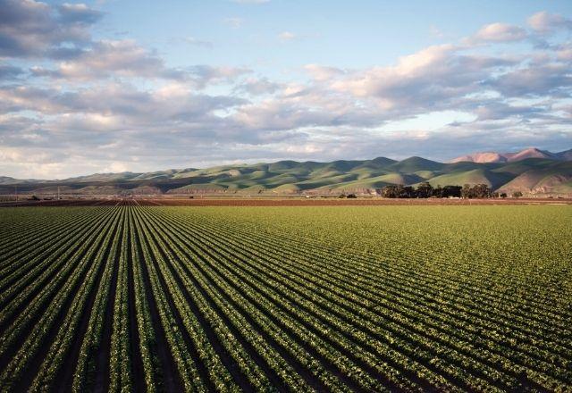 Práticas agrícolas com baixa emissão de carbono devem ser adotadas em 52 milhões de hectares no país até 2030 | Pexels