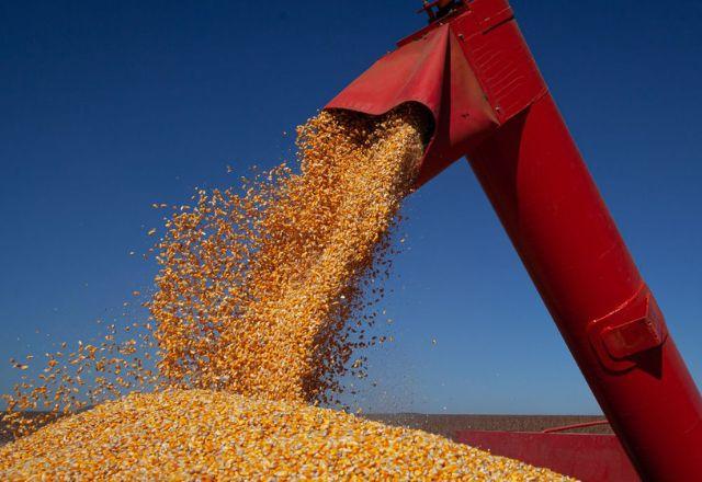 Principais produtores do milho foram os estados de Mato Grosso, Paraná, Goiás e Pará | Agência Brasil