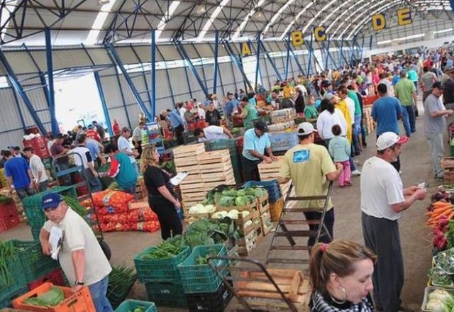 Produtores de alimentos relatam dificuldades após enchentes no RS: 'Produção foi devastada'