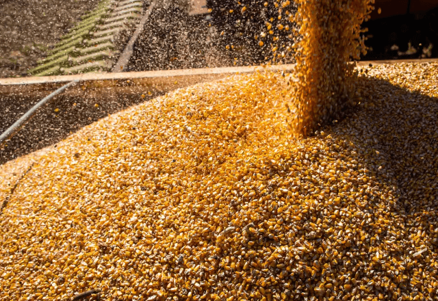 Produtos agropecuários passaram a subir 0,46% no mês, após queda de 1,45% em outubro | Divulgação/Wenderson Araujo/Trilux