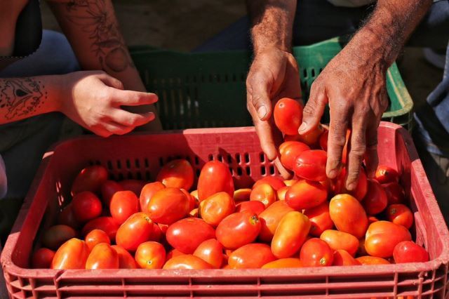 Exportações do Nordeste somam US$ 24,8 bilhões em 2025, maior volume em três anos