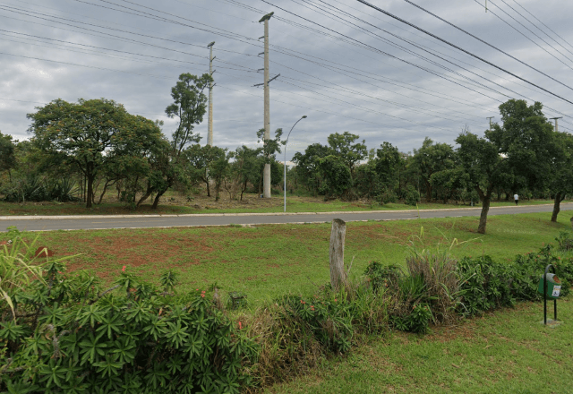 Proximidades do local onde capivaras foram atropeladas | Reprodução/Google Street View