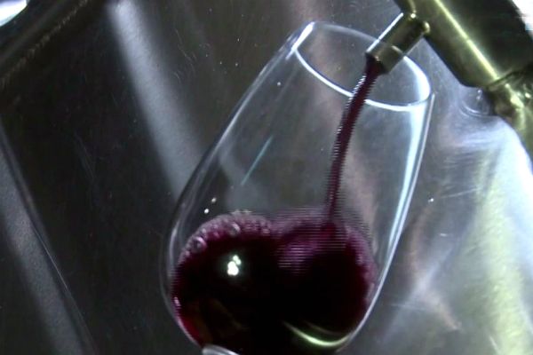 Qualidade de vinhos brasileiros ganha reconhecimento internacional Qualidade de vinhos brasileiros ganha reconhecimento internacional