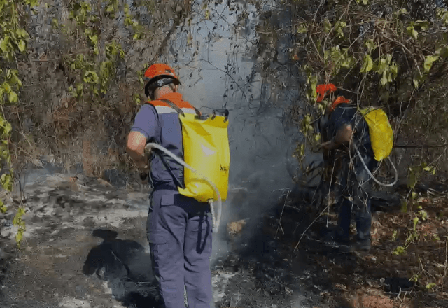 Focos de incêndio foram registrados na vegetação que contorna o Rodoanel, em São Paulo | Defesa Civil / Reprodução