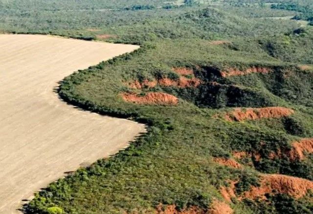 REPRODUÇÃO | Agência Brasil - Cerrado Brasileiro
