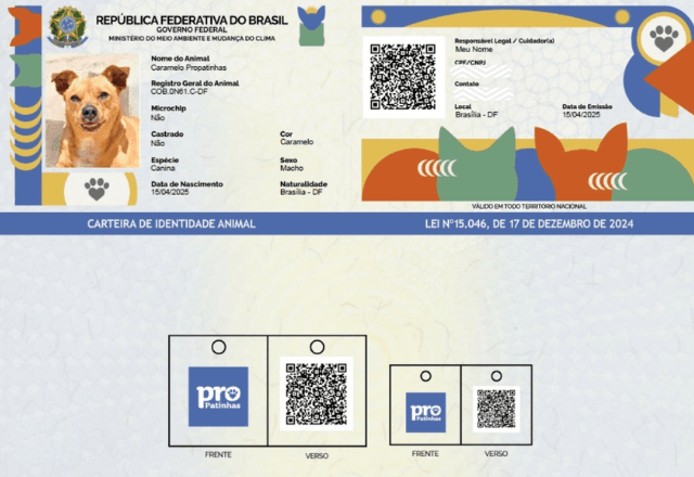 "RG Animal" disponível por meio do SinPatinhas | Divulgação/Governo federal