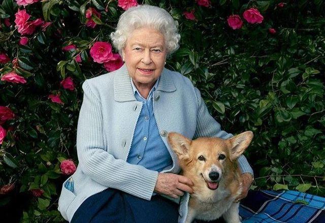 Rainha Elizabeth II posa com os corgis para a revista VF | Reprodução