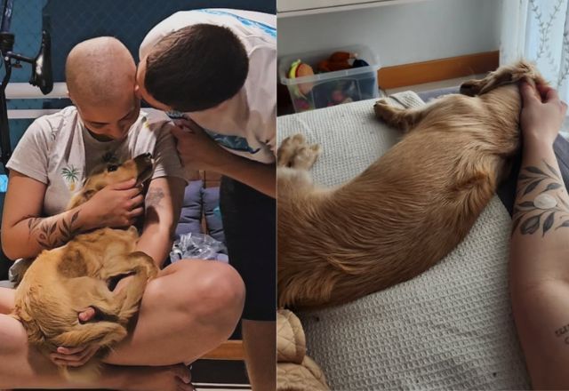 Mulher emociona web ao provar como seu cachorro ajudou ela a vencer um câncer | Foto: Reprodução/Redes Sociais