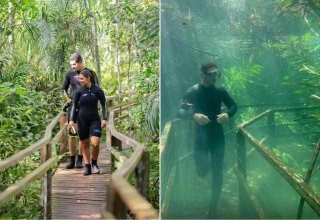 Turistas tiveram a oportunidade de passar pela trilha com equipamentos de mergulho | Reprodução/Fernando Peres/Recanto Ecológico Rio da Prata