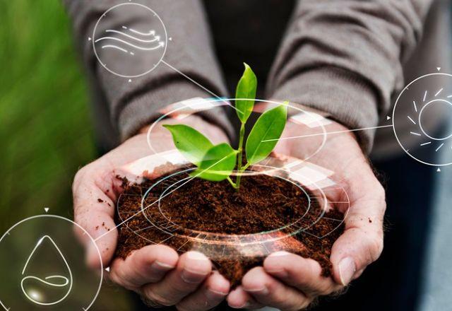 Região nordeste registrou crescimento de startups