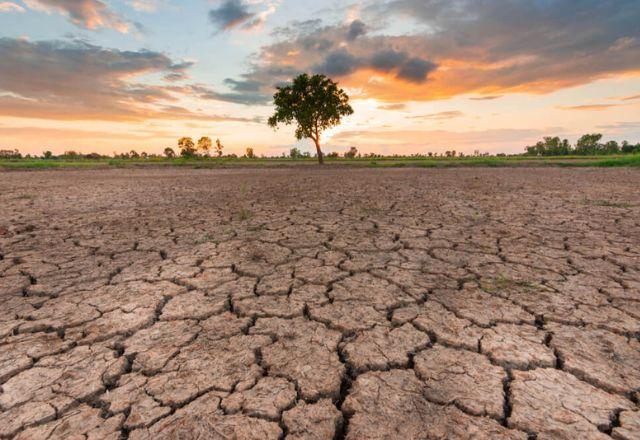 O que esperar se a temperatura média global aumentar mais de 1,5ºC? O que esperar se a temperatura média global aumentar mais de 1,5ºC?