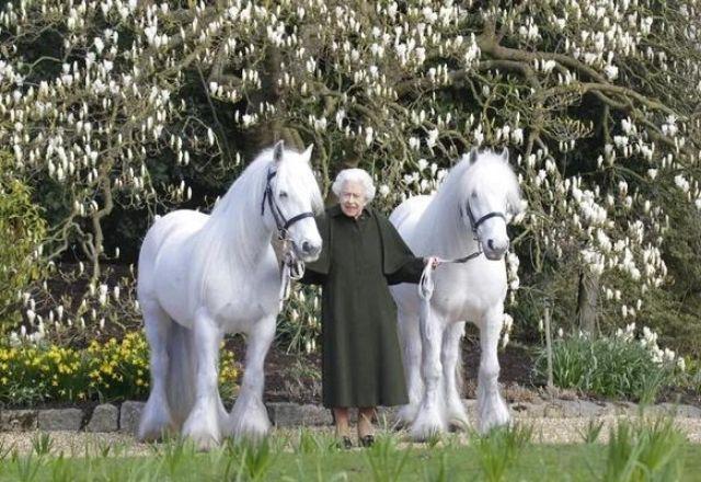 Rainha Elizabeth II completa 96 anos e divulga foto com pôneis Rainha Elizabeth II completa 96 anos e divulga foto com pôneis