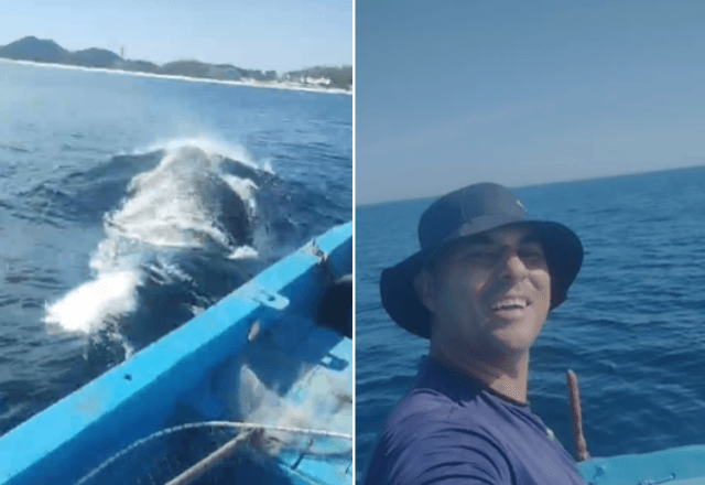 Baleia-jubarte assustou pescadores de Arraial do Cabo. | SBT RIO