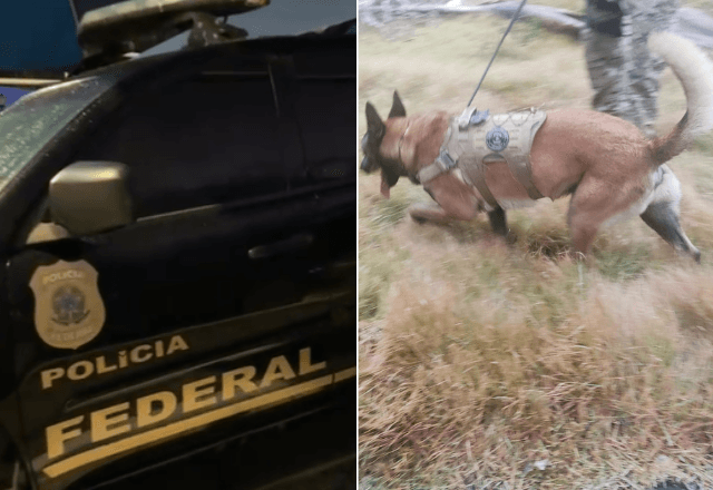 PF mira quadrilha responsável pelo tráfico de drogas por meio de "mulas humanas" | Divulgação/PF
