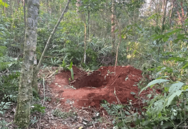 Mulher ajudou a cavar a própria cova, sem saber | PMSC/Reprodução
