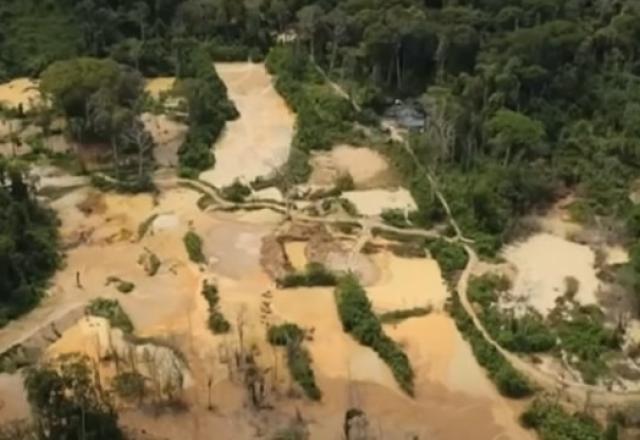 Trecho de terra rodeado por árvores (Reprodução/SBT Brasil)