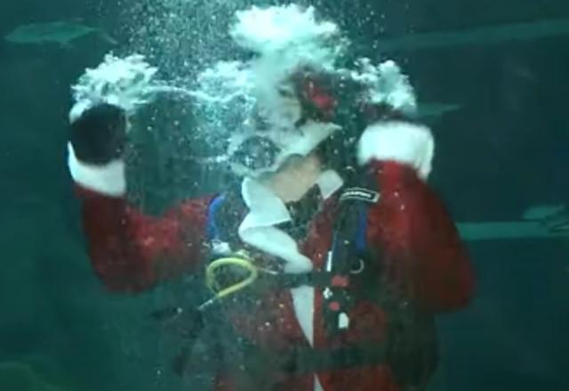 Papai Noel embaixo d'água (Reprodução/SBT Brasil)
