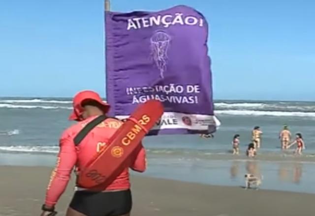 Salva-vidas em frente a placa com alerta para infestação de águas-vivas no mar (Reprodução/SBT Brasil)