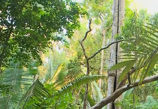 Comitiva brasileira deve formalizar metas contra as mudanças climáticas (Reprodução/SBT Brasil)